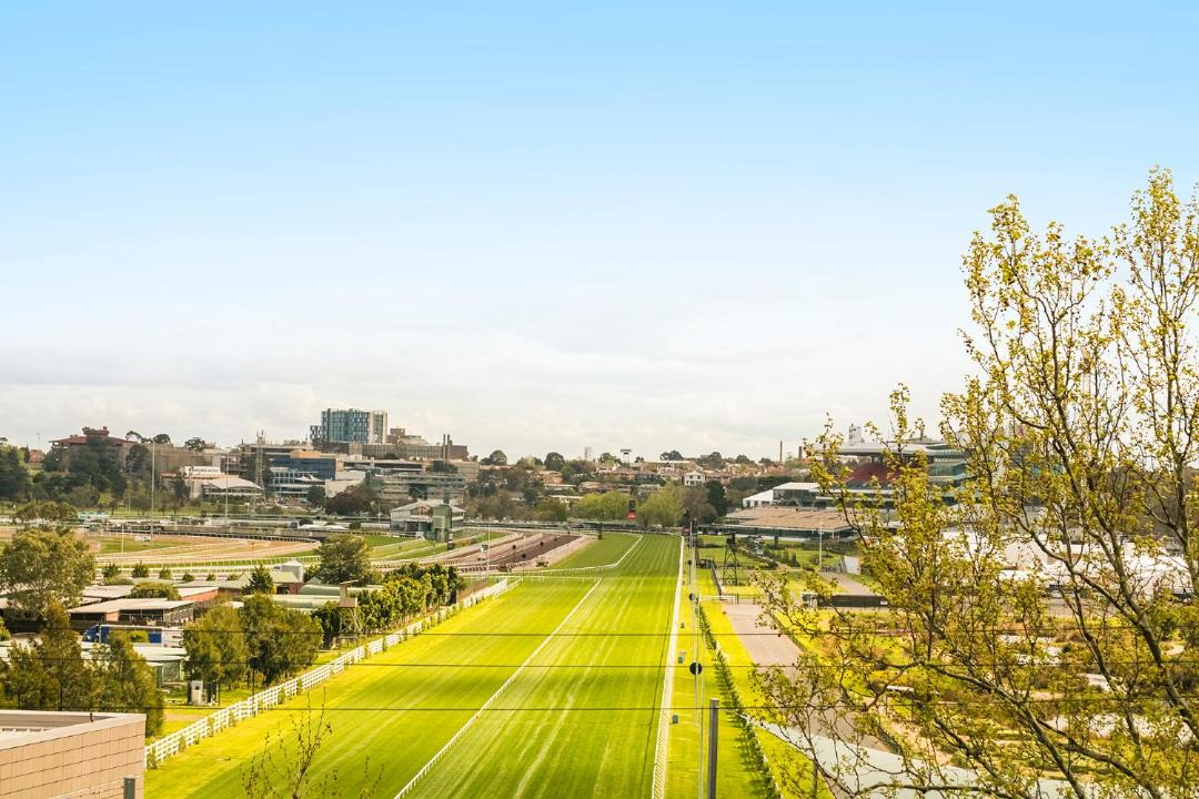 Photo of Others in Flemington