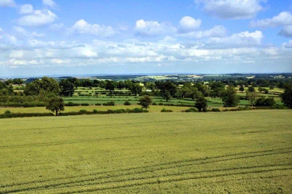 Photo of Others in Fearby