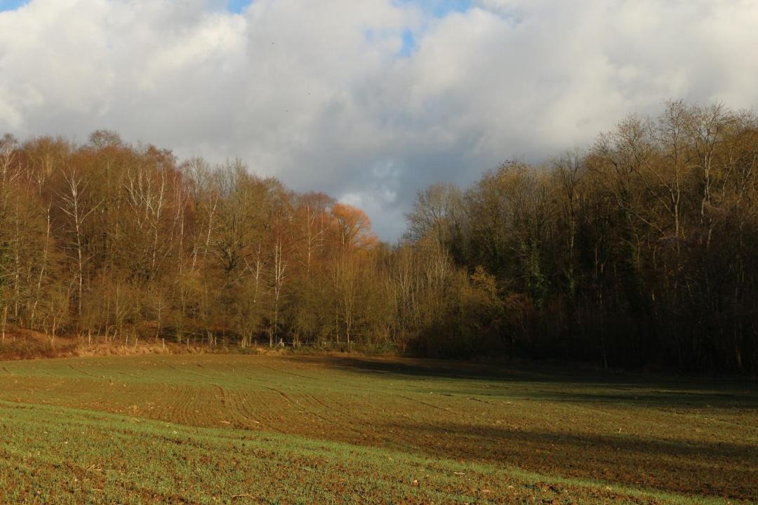 Photo of Outdoor in Chivres-Val