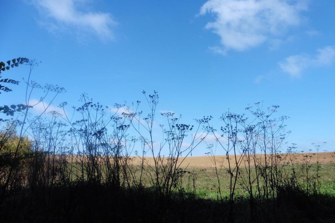 Photo of Outdoor in Chivres-Val
