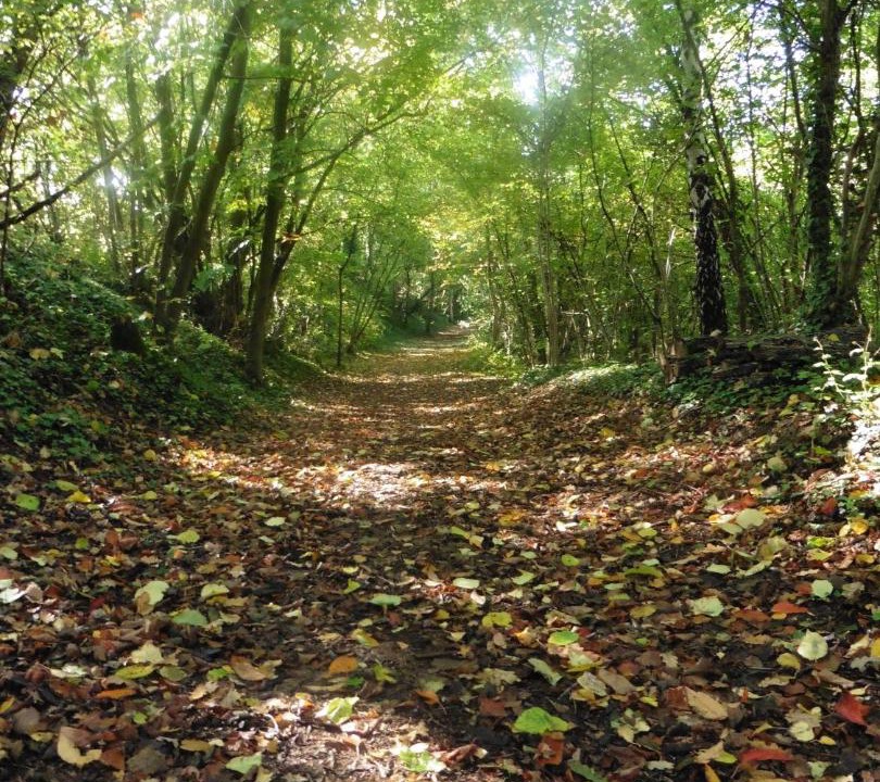 Photo of Outdoor in Chivres-Val