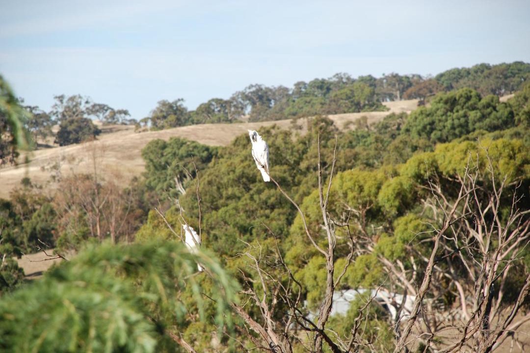 Photo of Others in Metcalfe