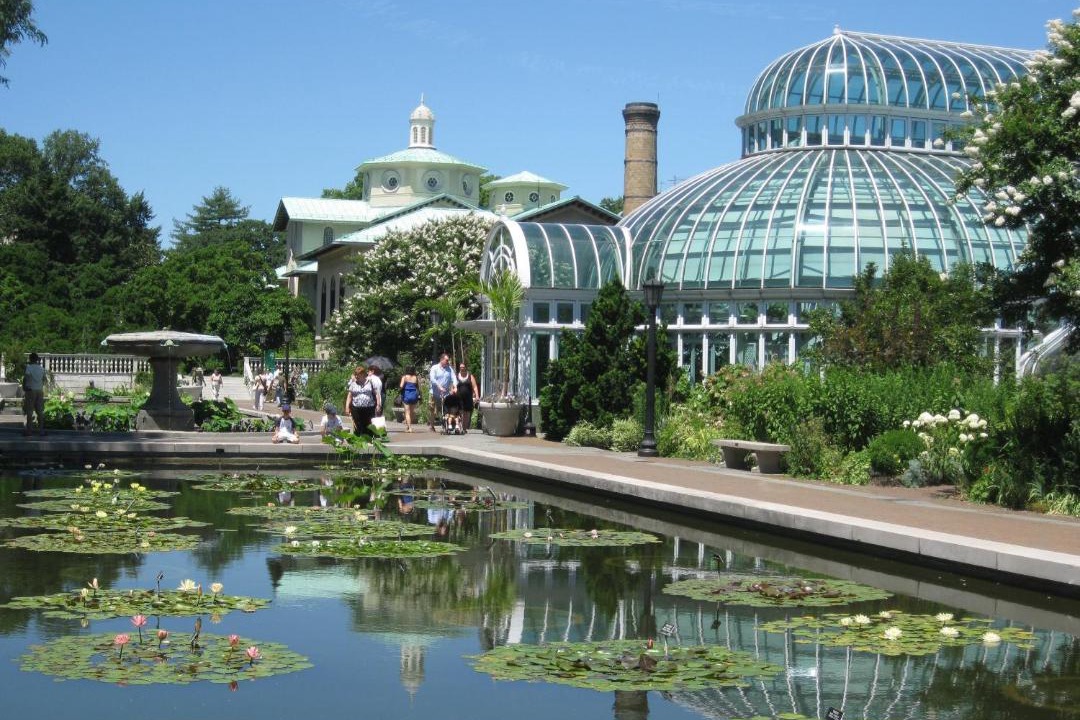 Photo of Others in East New York