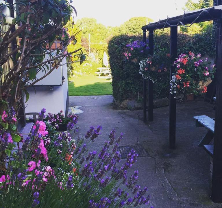 Photo of Others in Lelant