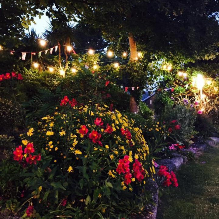 Photo of Others in Lelant