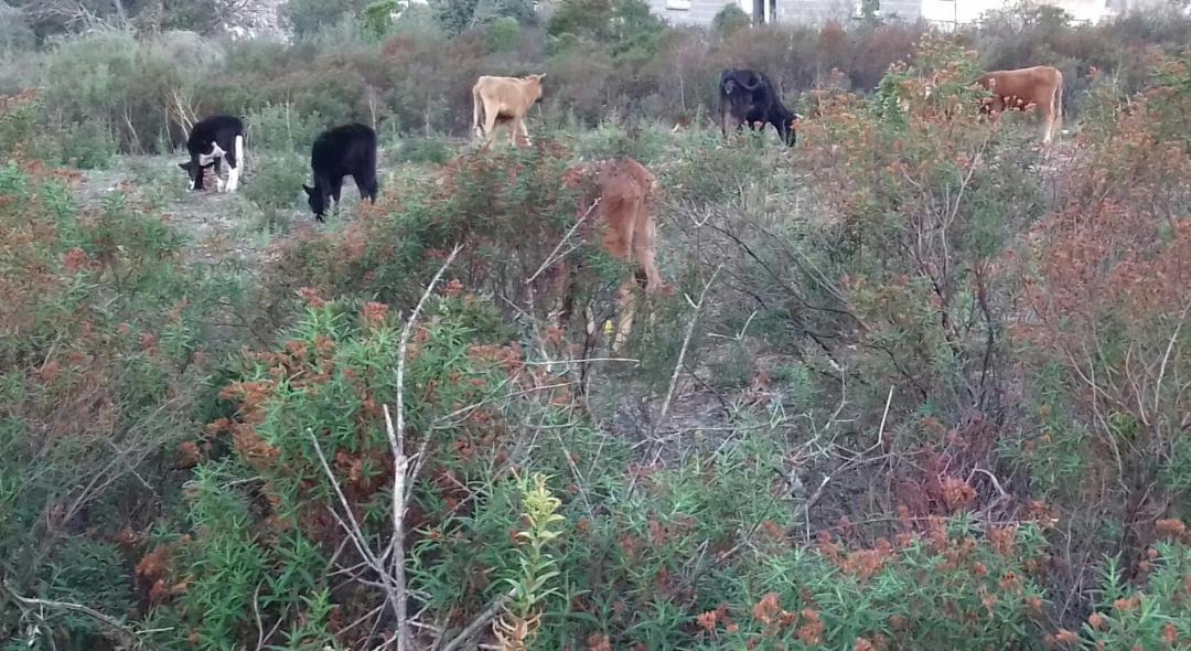 Photo of Outdoor in Galeria