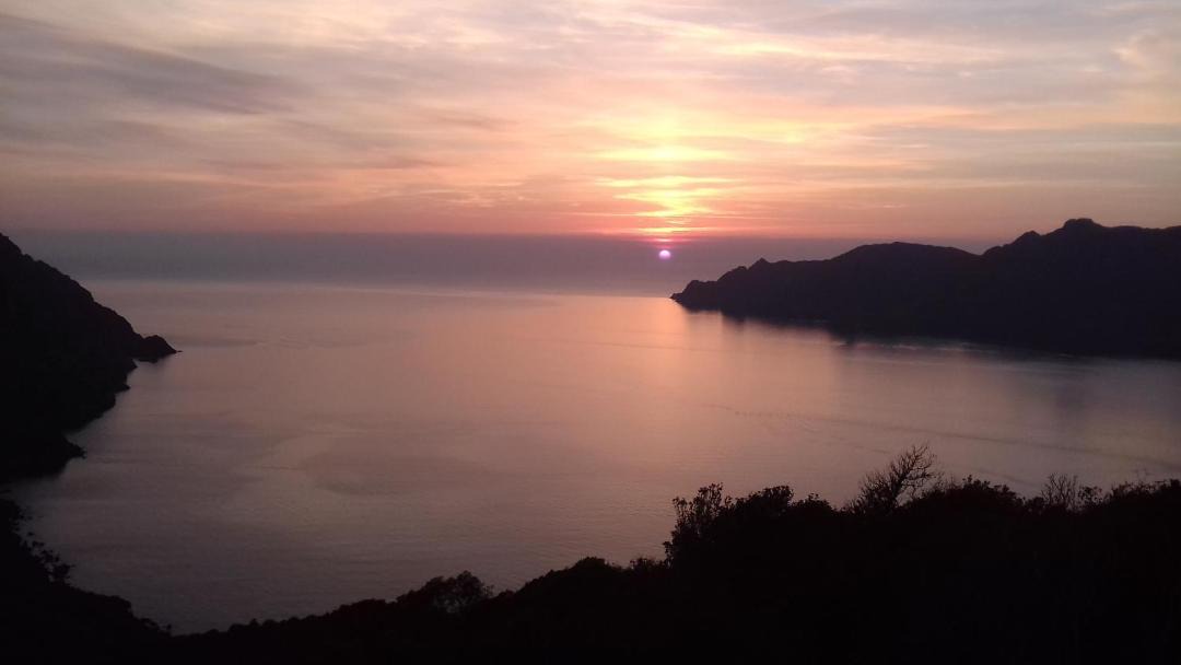 Photo of Outdoor in Galeria