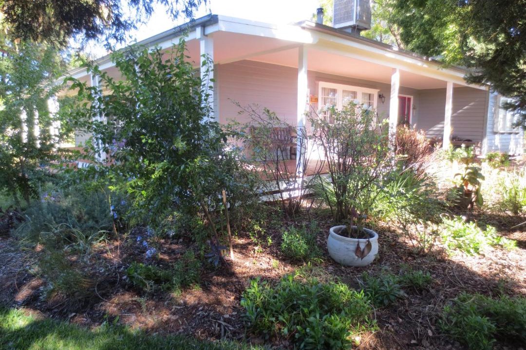 Photo of Others in Nichols Point