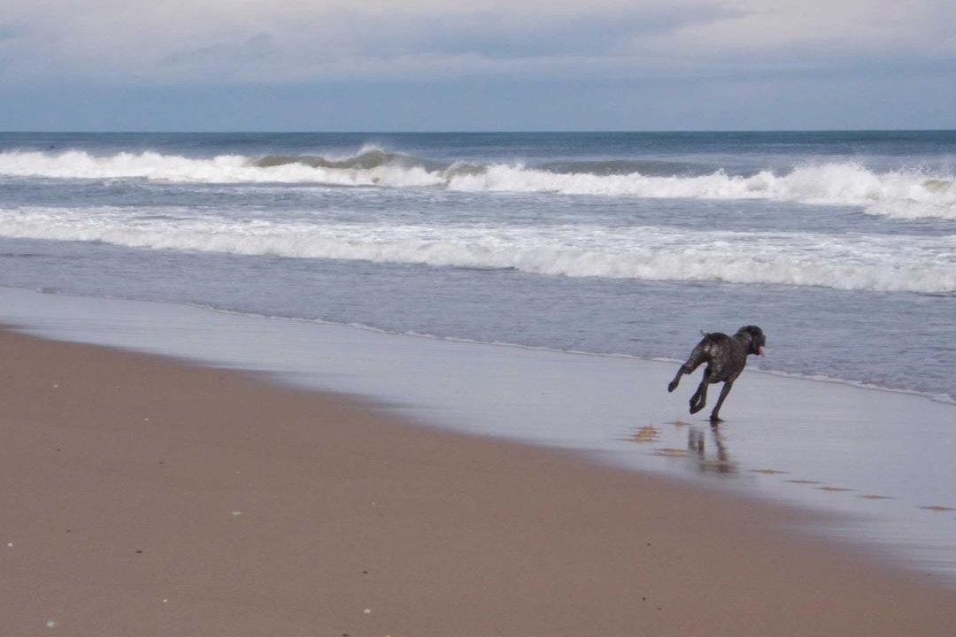 Photo of Human In Picture in Village of East Hampton