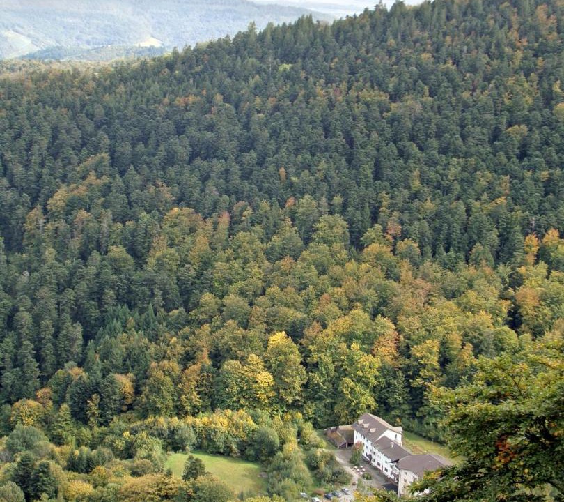 Photo of Others in Murbach