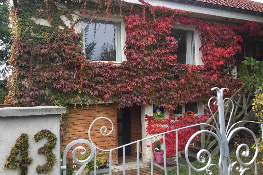 Photo of Others in Vittel