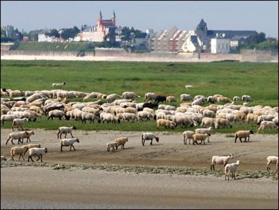 Photo of Others in Saint-Valery-sur-Somme