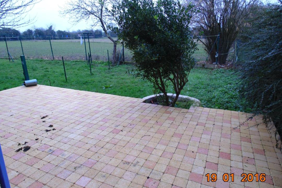 Photo of Others in Charrais