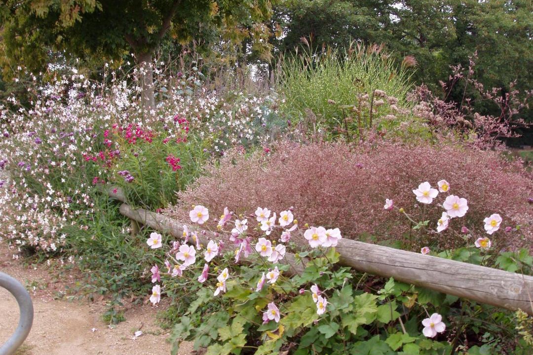 Photo of Outdoor in Niort-la-Fontaine
