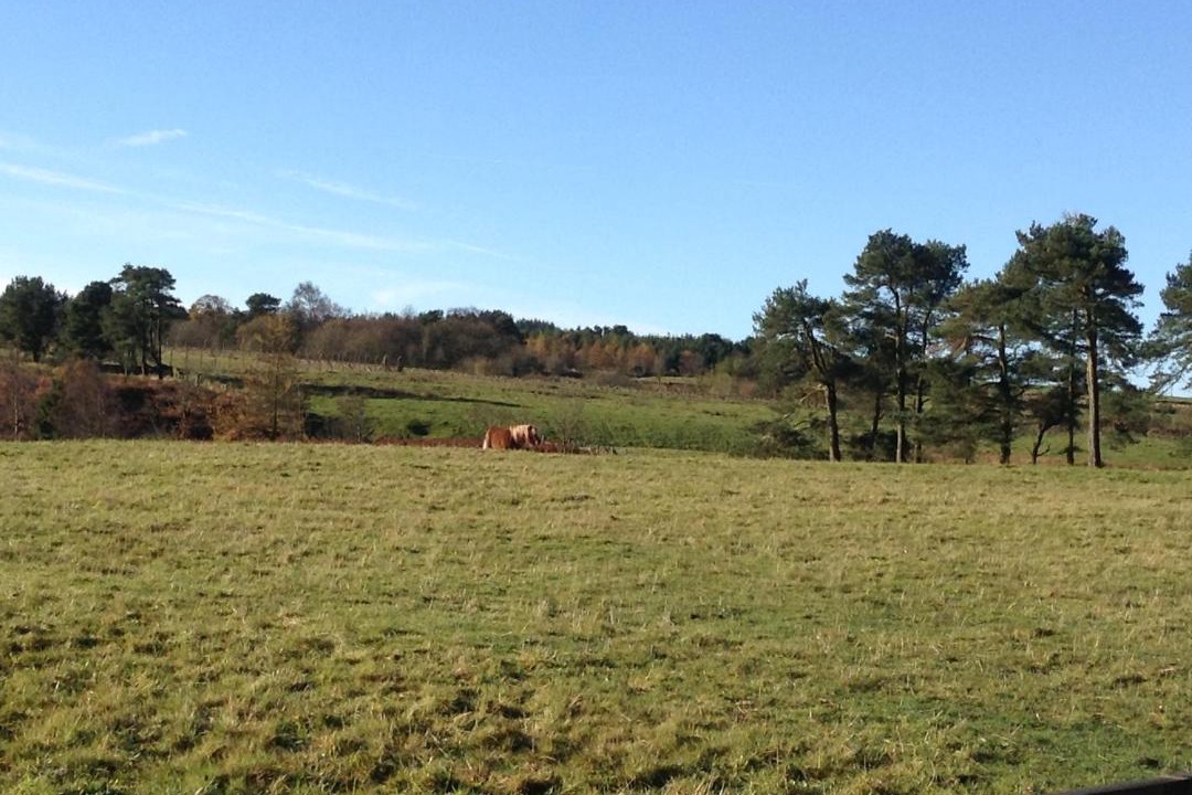 Photo of Others in Waskerley