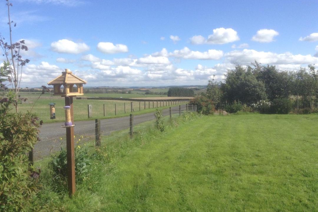 Photo of Others in Waskerley