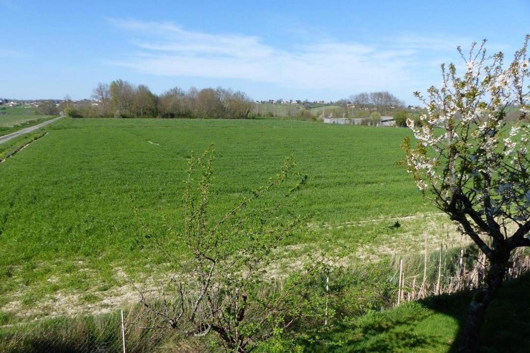 Photo of Others in Labarthe-Inard