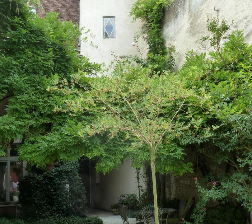 Photo of Others in Richelieu