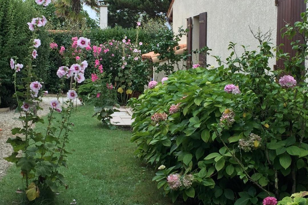 Photo of Others in Meschers-sur-Gironde