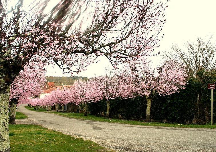 Photo of Buildings in Gueyze