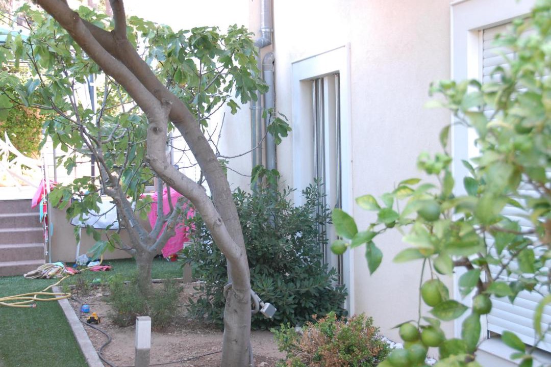 Photo of Others in Sainte-Maxime City Centre