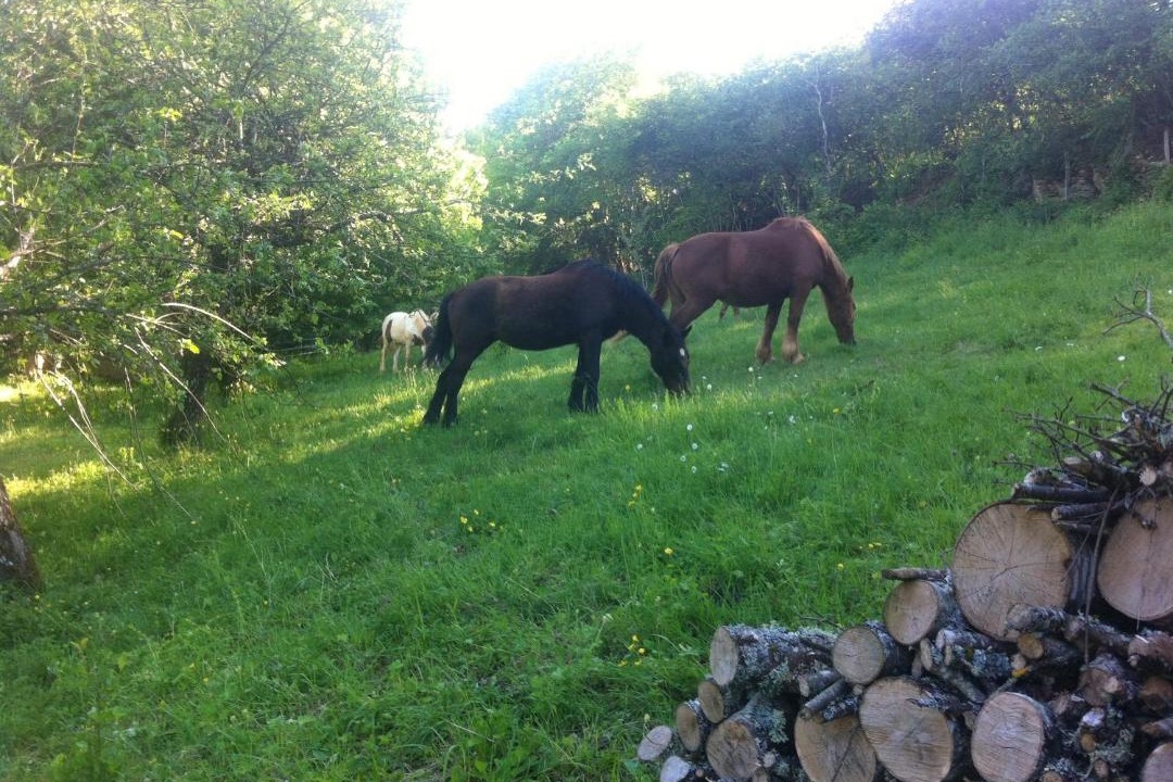 Photo of Outdoor in Chamoux