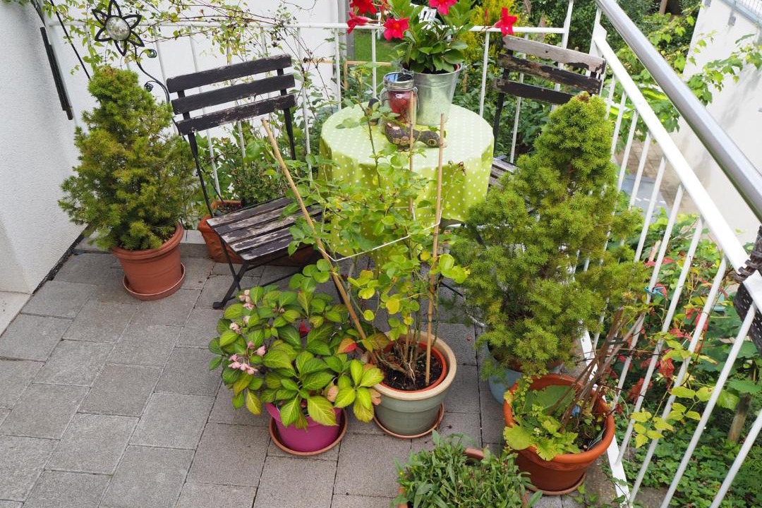 Photo of Others in Muttenz