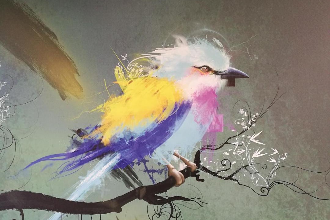 Photo of Others in Halluin