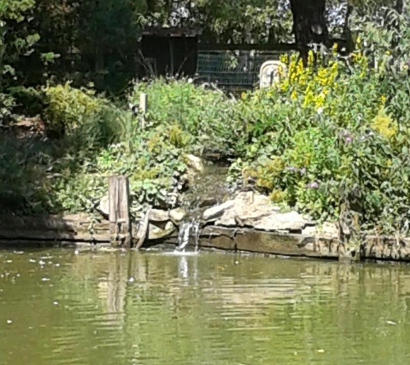 Photo of Others in Verlinghem