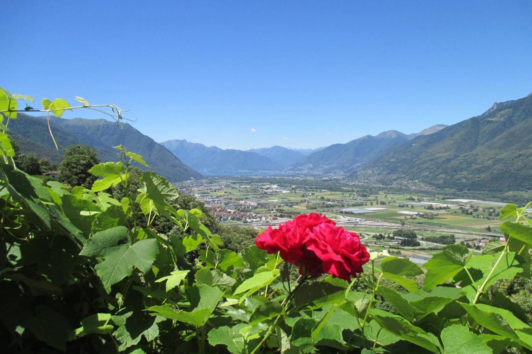 Photo of Outdoor in Camorino