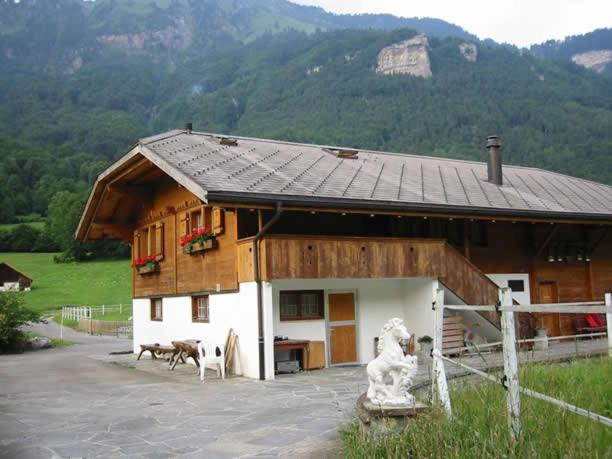 Photo of Others in Brienzwiler