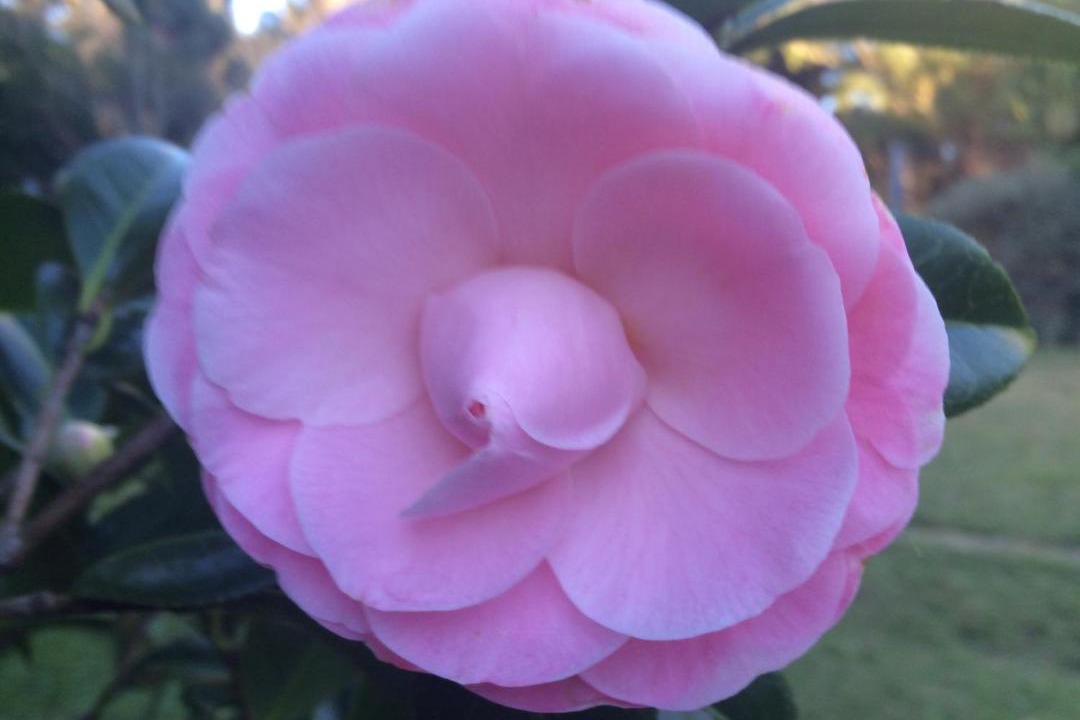 Photo of Others in Tuai