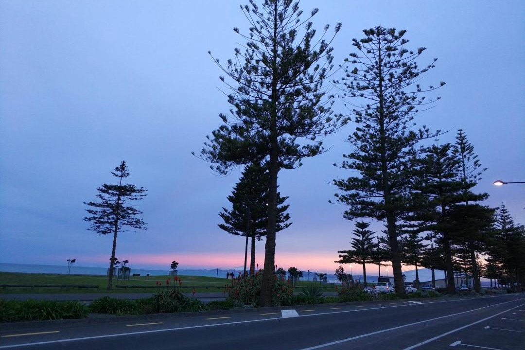 Photo of Others in Napier