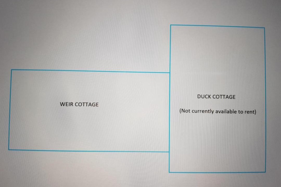 Photo of Others in Martin