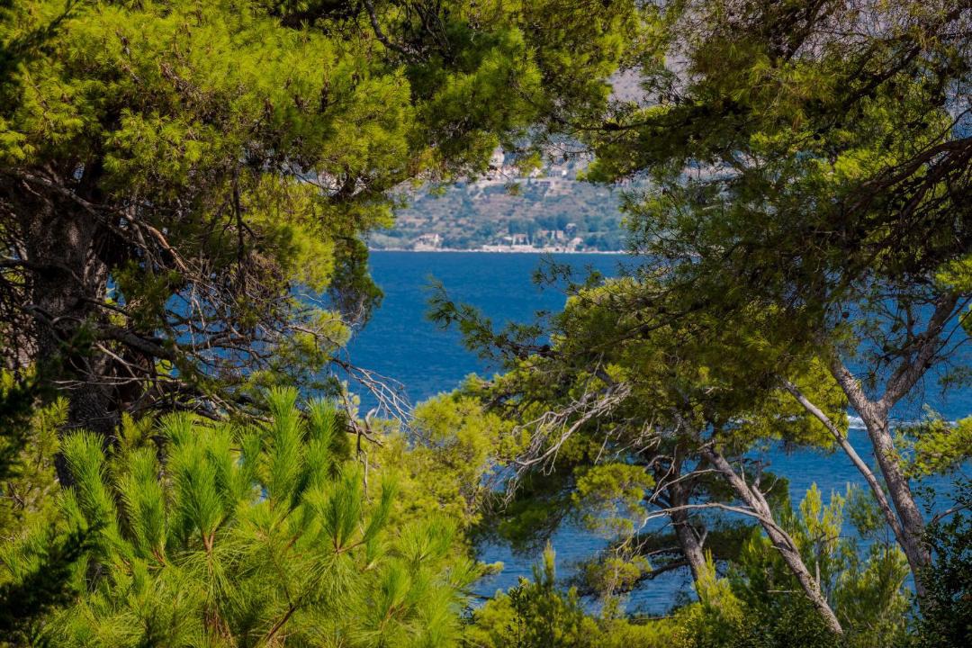 Photo of Others in Cavtat