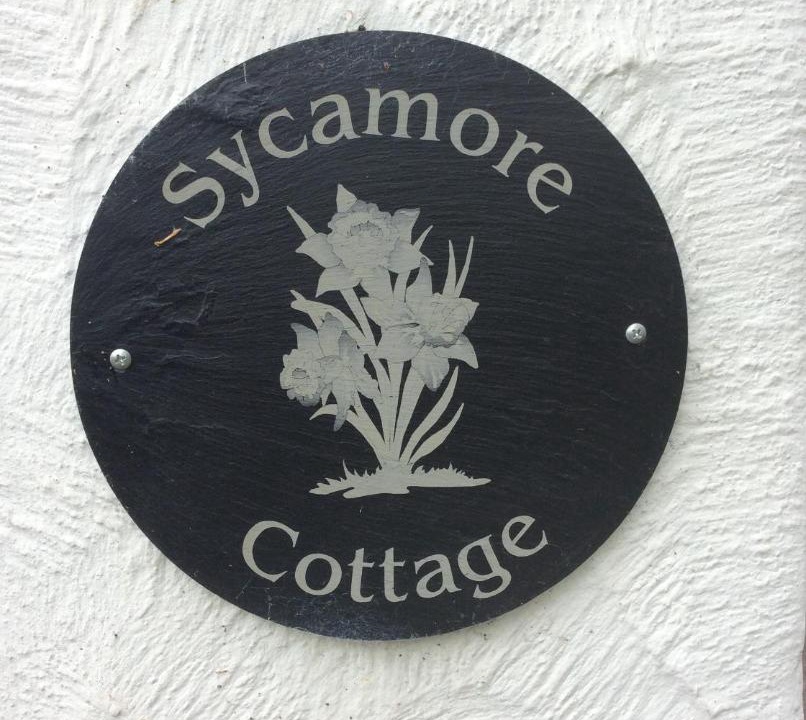 Photo of Others in Henryd