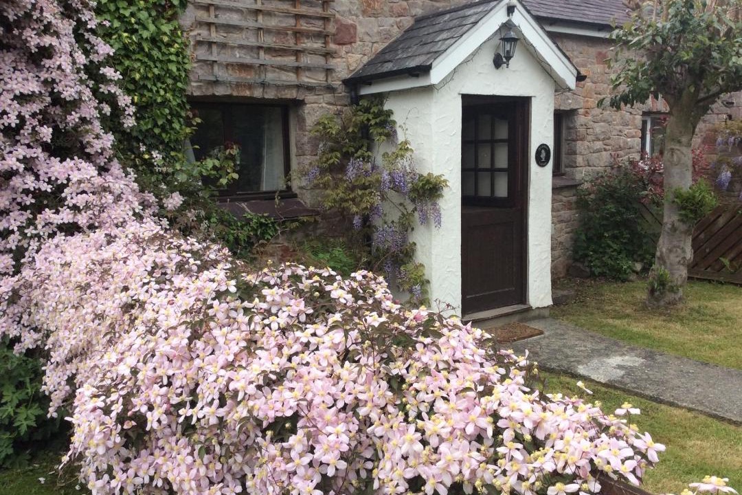 Photo of Others in Henryd