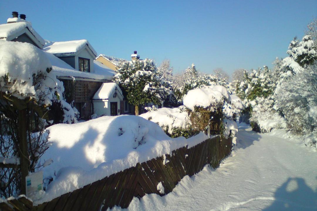 Photo of Others in Henryd