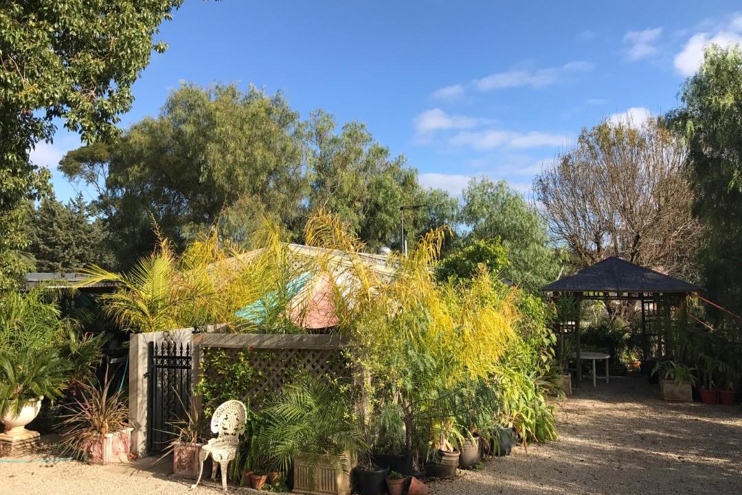 Photo of Outdoor in Old Reynella