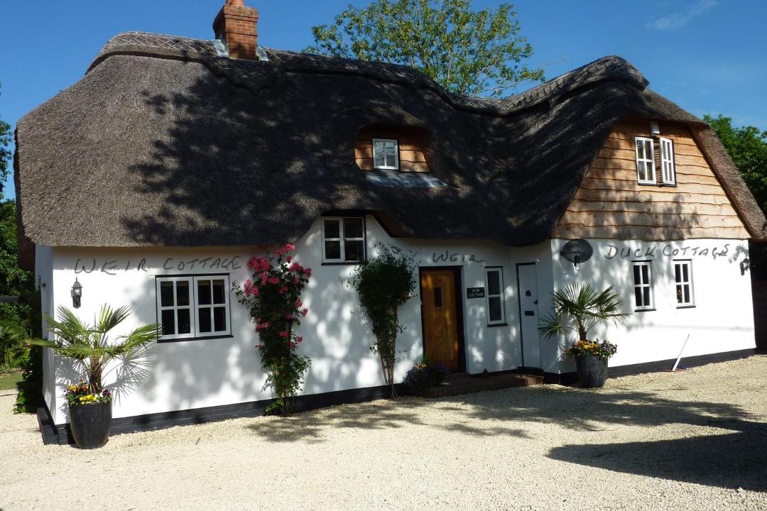 Photo of Others in Martin