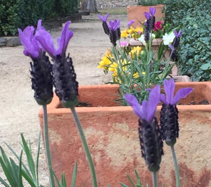 Photo of Outdoor in Nulkaba