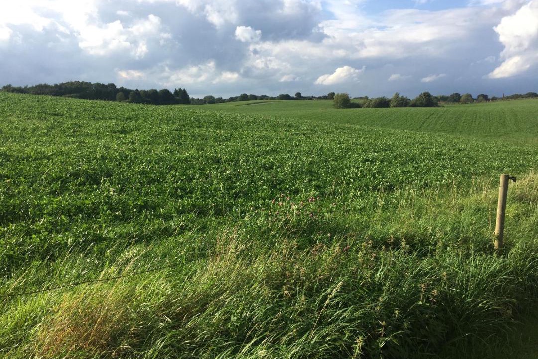 Photo of Others in Søndersø