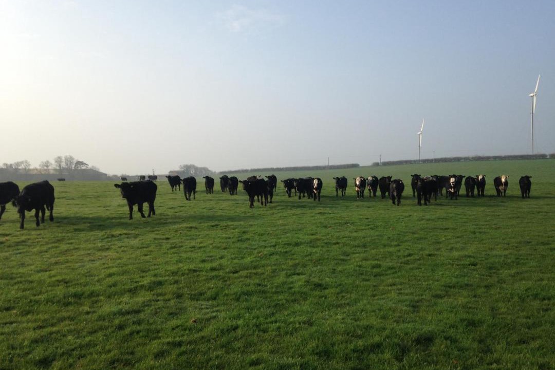 Photo of Others in East Haddon