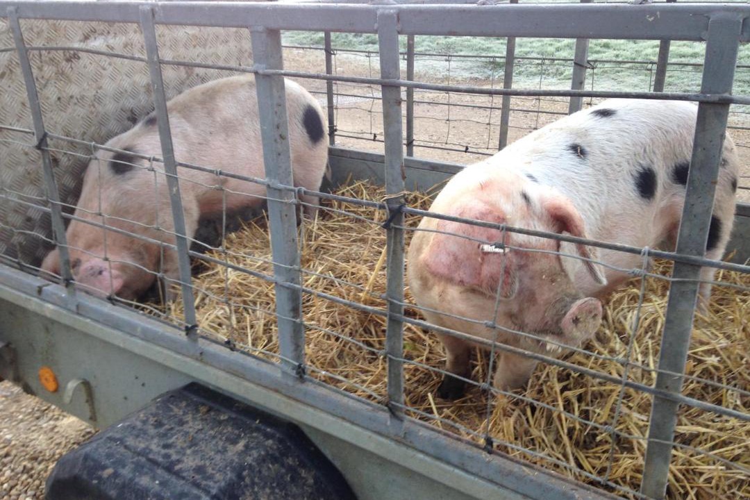 Photo of Others in East Haddon