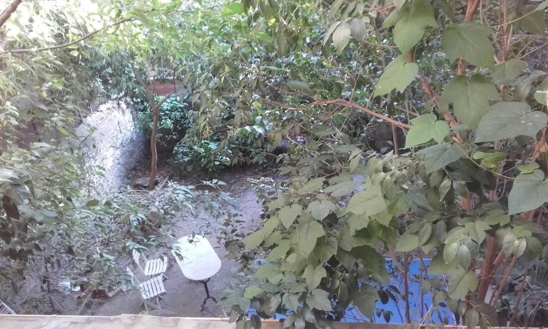 Photo of Others in Convention