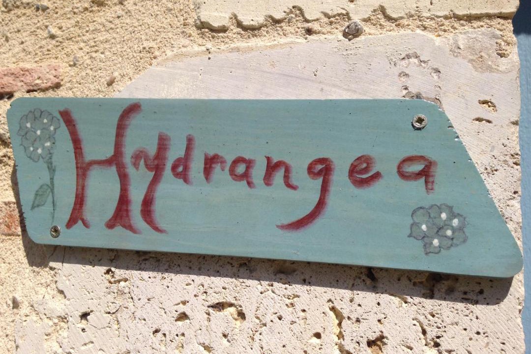 Photo of Others in Sainte-Bazeille