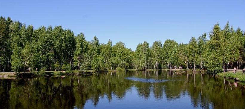 Photo of Outdoor in Kurortny District