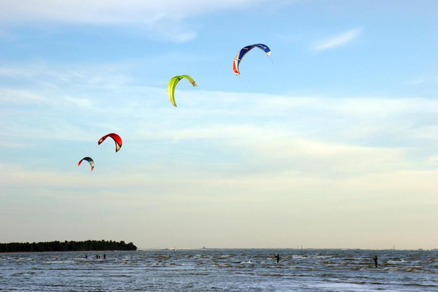 Photo of Others in Kurortny District