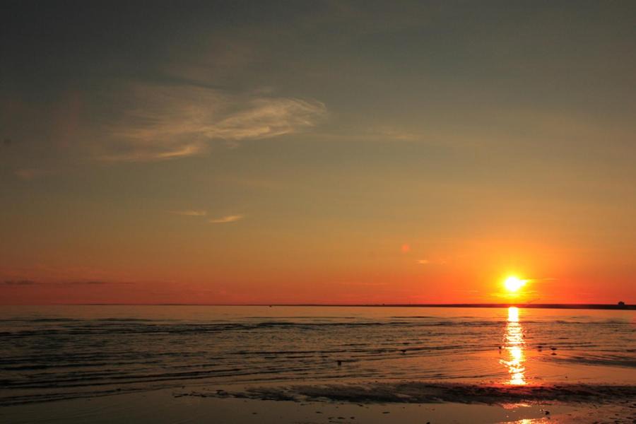 Photo of Outdoor in Kurortny District