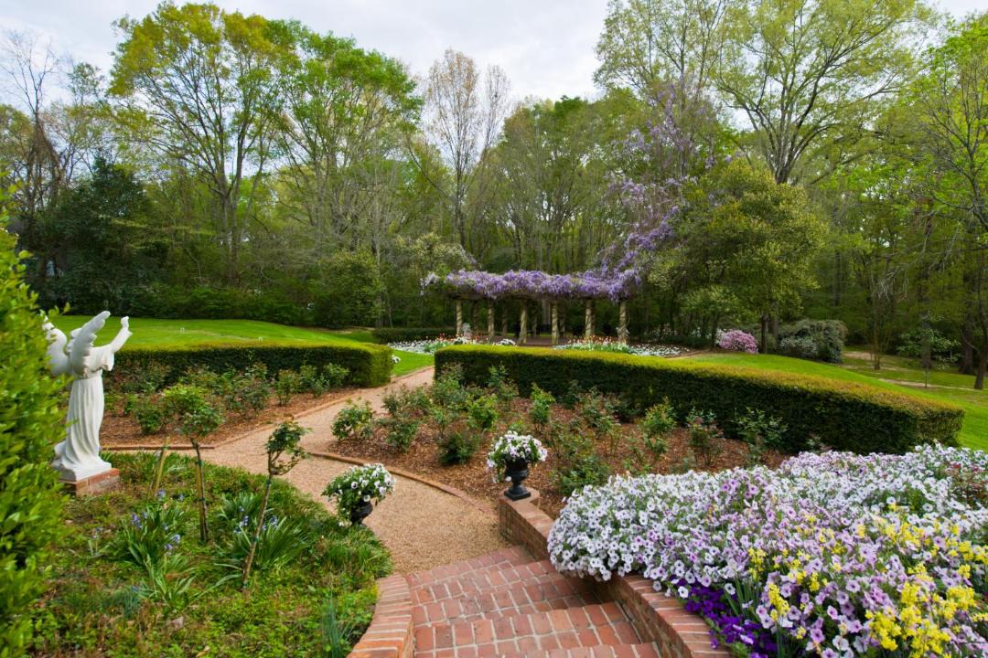 Photo of Others in Natchez